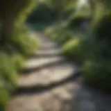 A winding stone garden path surrounded by lush greenery