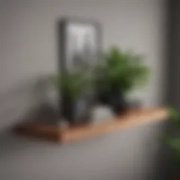 A modern floating shelf design with decorative plants and books