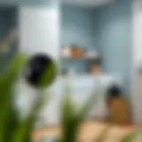 Innovative Yet Simple Laundry Room Ideas Introduction