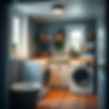 Innovative Yet Simple Laundry Room Ideas Summary Innovative Yet Simple Laundry Room Ideas Summary