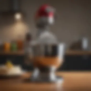 Versatile Culinary Creation with Whisk Delicious dish prepared with the help of KitchenAid immersion blender whisk, illustrating its versatility in culinary applications