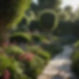 A beautifully landscaped garden showcasing various plants and flowers