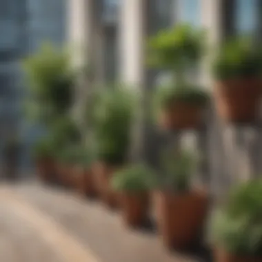 Balcony Oasis: A Stylish Plant Display Elegant arrangement of potted plants on a balcony