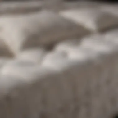 High-Quality Fabric and Stitching Close-up of high-quality mattress fabric and stitching details