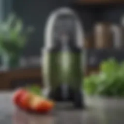 A close-up of the Magic Bullet showcasing its sleek design and compact form