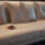 Elegant couch with a visible coffee stain