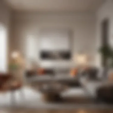 Matte finish applied to a modern living room setting, emphasizing its smooth appearance.