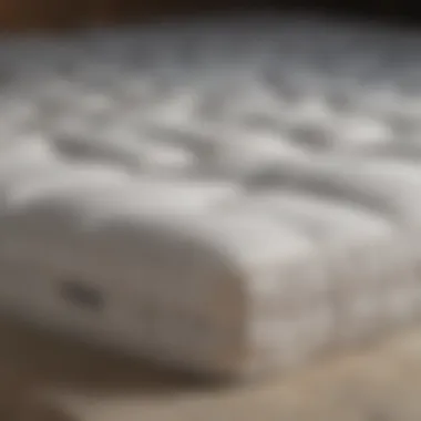 Comparing Mattress Materials for Temperature Control Comparison between different mattress materials