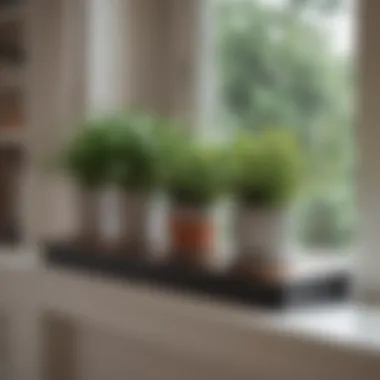 Stylish window sill with decorative plants and books