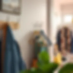 Creative use of multiple hangers on a single hook in a stylish entryway.