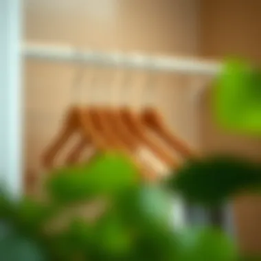 Minimalist Closet Efficiency Efficient storage solution showcasing hangers on a hook in a minimalist closet.