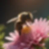 A close-up view of a bee on a flower, highlighting its behavior in a natural habitat