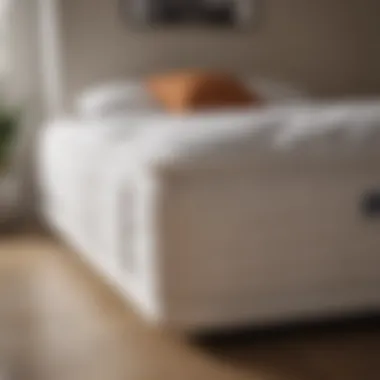 Nectar Mattress Durability Showcase Nectar mattress showing durability in various conditions