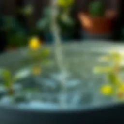 Crystal clear rainwater collected in a barrel that showcases sustainable gardening practices