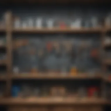 Tools and accessories neatly arranged on shelves