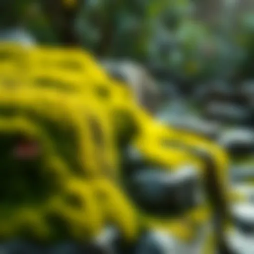 Vibrant garden showcasing moss growth on stones