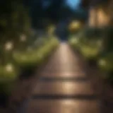 Elegant outdoor string lights illuminating a garden pathway