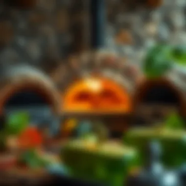 Diverse range of pizza ovens set up for comparison