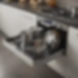 Elegant pull-out pot lid organizer showcasing modern design