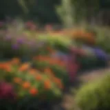 Vibrant garden bed featuring a variety of flowers