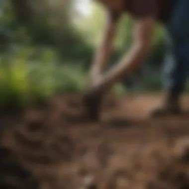 Gardener examining soil for shady lawn preparation