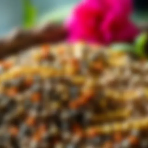 Close-up view of spring seeds