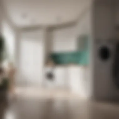 Aesthetic Laundry Room Layout Aesthetic and functional laundry room layout