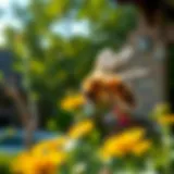 Strategies for Keeping Bees at Bay Introduction