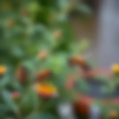 Strategies for Keeping Bees at Bay Summary
