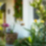 Natural Plants That Repel Flies Natural plants that repel flies