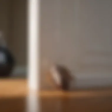 Sealing entry points in a home