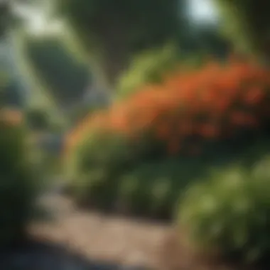 Choosing Wind-Resistant Plant Varieties Vibrant garden with wind-resistant plants