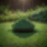 Close-up view of Sunday Green Machine Lawn Fertilizer granules