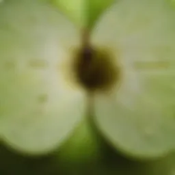 A close-up of a fresh green apple sliced open, revealing its juicy interior