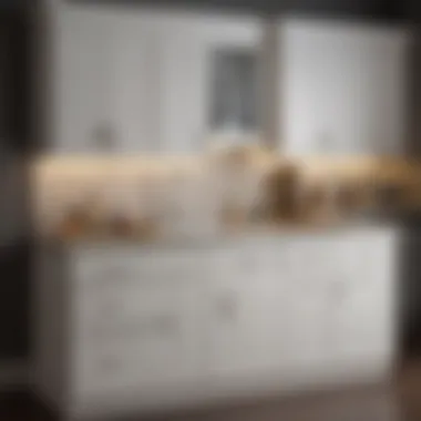 Transformation of Kitchen Cabinets Before and after transformation of kitchen cabinets with new paint