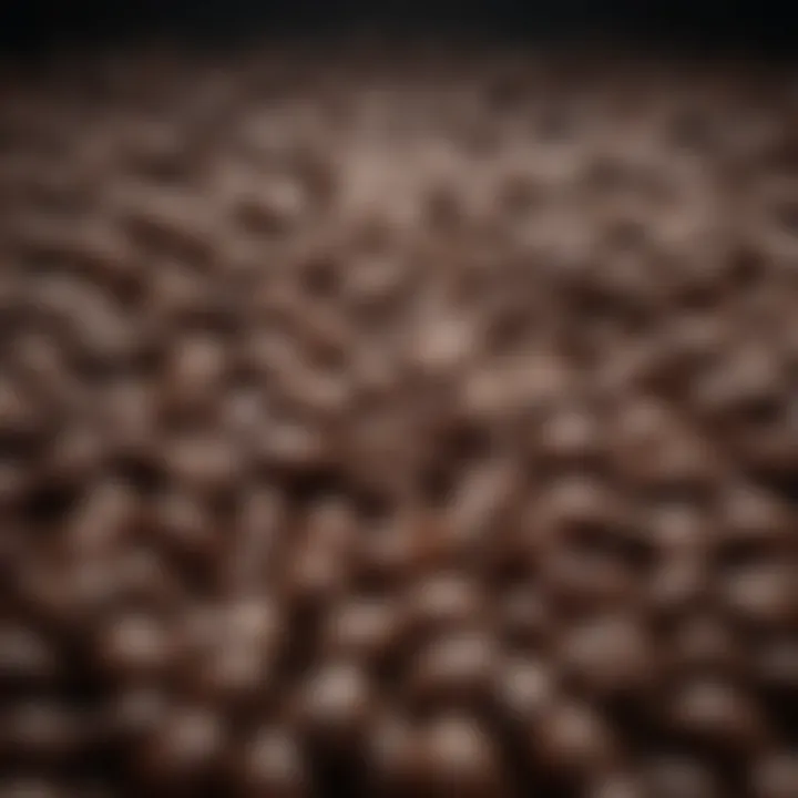 Close-up of coffee beans, emphasizing quality and selection for brewing