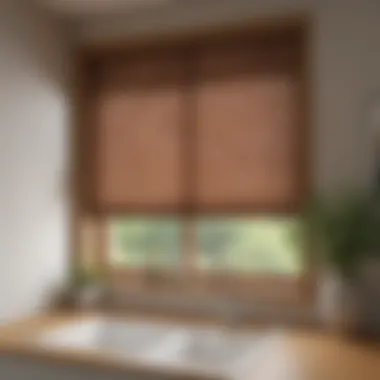 Functional blinds providing privacy over a sink