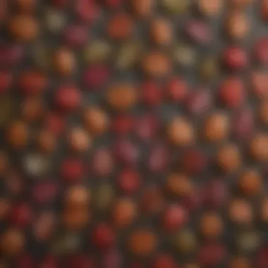 Diversity in Rose Leaf Types Variety of rose leaf types showcasing different shapes and colors