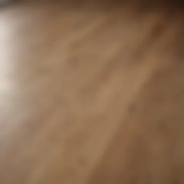 Close-up view of oak floor texture in a kitchen setting