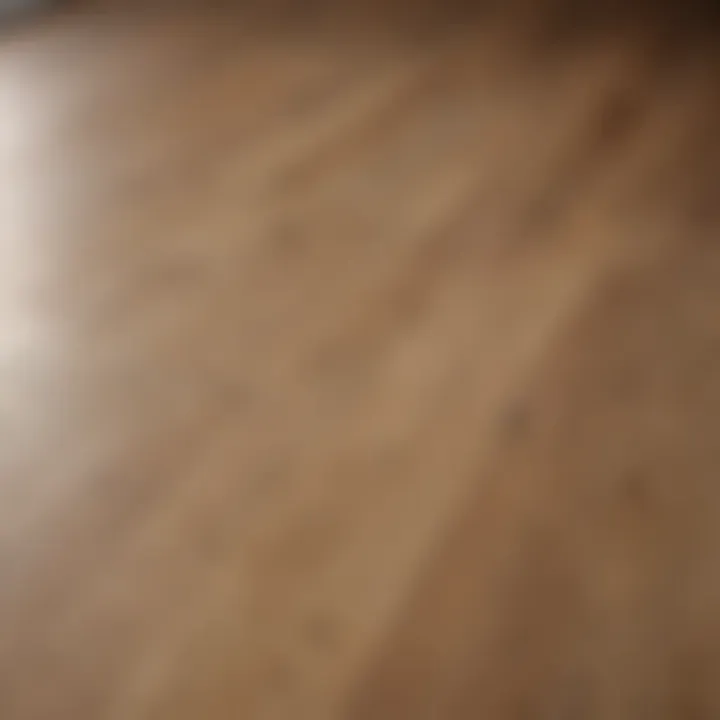 Close-up view of oak floor texture in a kitchen setting