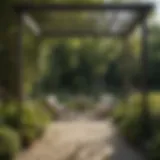 Elegant pergola providing shade in a lush garden