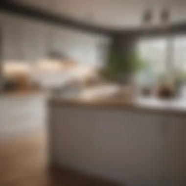 Stunning Kitchen Makeover A beautifully finished kitchen with elegant decor and functional design elements