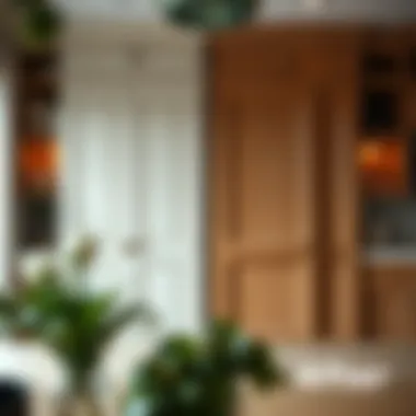 Before and after cabinet door transformation