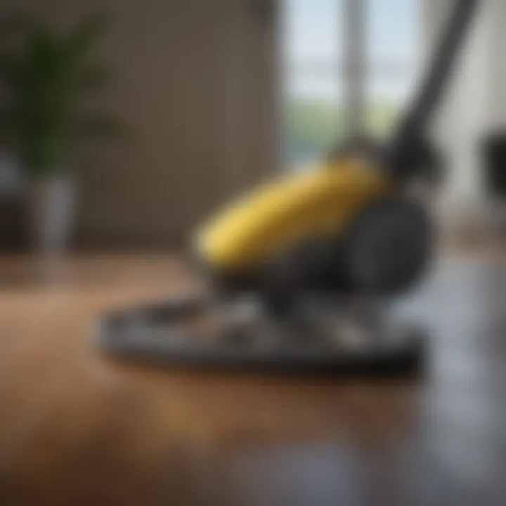 Eco-friendly vacuum cleaner options reflecting sustainability