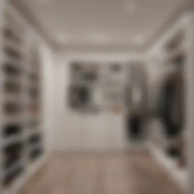 Budget-friendly closet renovation options