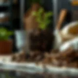 Understanding Compost Ingredients: Building the Perfect Blend Introduction