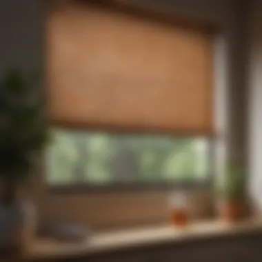 Stylish window shades enhancing interior decor
