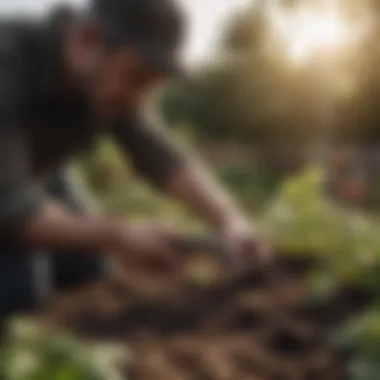 A gardener conducting a soil pH test using a testing kit.