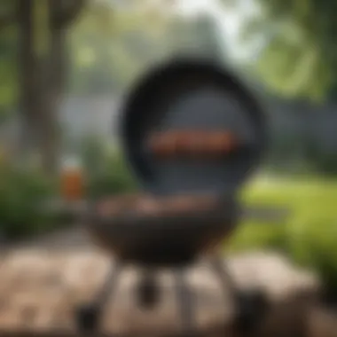 Essential grill accessories laid out
