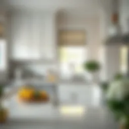 Understanding the Costs of Refinishing Kitchen Cabinets Introduction